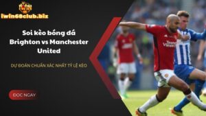 Soi kèo bóng đá Brighton vs Manchester United chuẩn xác nhất