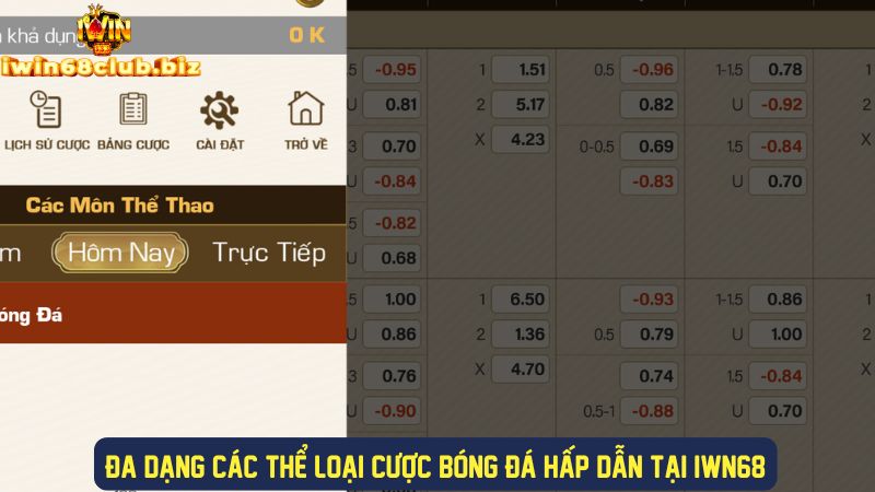 Đa dạng thể loại cược bóng đá tại IWIN68